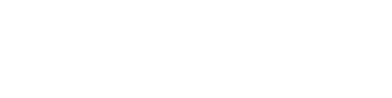 vizreality