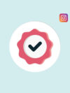 Instagram Standard Followers