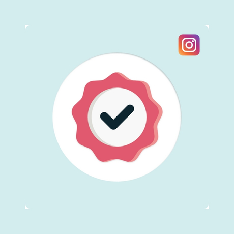 Instagram Standard Followers